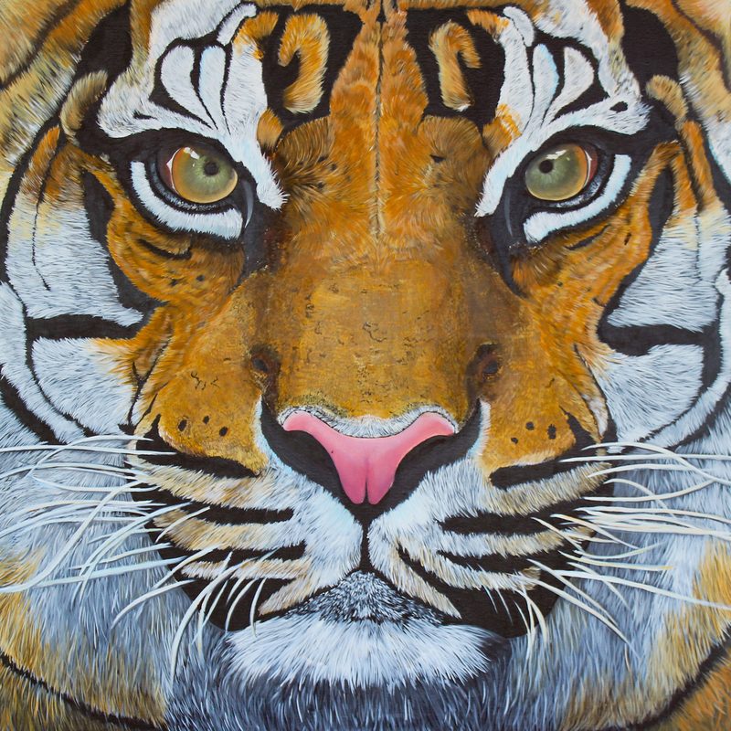 Hyperrealist painting of a tiger's face in extreme close-up, eyes locked on the viewer, every strand of fur painted by hand